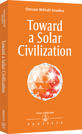 Toward a Solar Civilization Toward a Solar Civilization